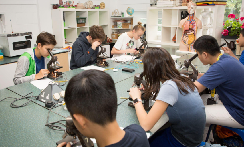 美国免费暑假科研｜0费用（包交通住宿）